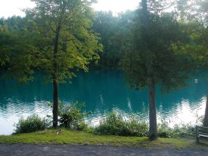 <img300*0:stuff/Through_the_Trees.jpg>