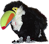 <img:stuff/Tilly100_rev.png>