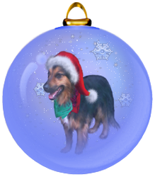 <img:stuff/TonkaChristmasOrnament.png>