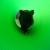 <img50*50:stuff/Tony%20Rabbit.jpg>