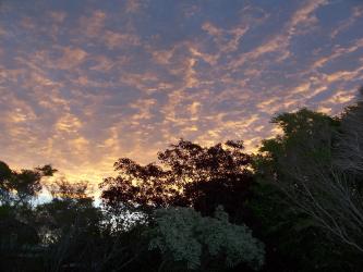 <img0*250:stuff/Trees_and_Sunset_Background.jpg>
