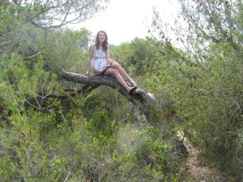 <img500*375:stuff/Trees_in_Spain.jpg>
