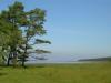 <img100*0:stuff/Trollskogen_%c3%96land_2007.jpg>
