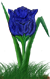 <img:stuff/TulipDkBlueSpkSMRev.png>