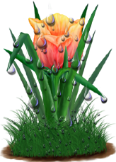 <img:stuff/TulipFieryDawnDrops.png>