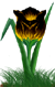 <img:stuff/TulipGldSunsetSM.png>