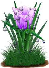 <img:stuff/TulipLovelyLavDrops.png>