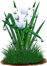 <img:stuff/TulipMoonbeamWhiteDrops.png>