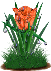 <img:stuff/TulipOrgSpkDrops.png>