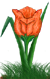 <img:stuff/TulipOrgSpkSM.png>