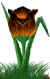 <img:stuff/TulipOrgSunsetSMRev.png>