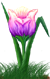 <img:stuff/TulipPastelVarSMRev.png>