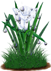 <img:stuff/TulipPearlyWhiteSpkDrops.png>