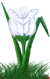 <img:stuff/TulipPearlyWhiteSpkSMRev.png>