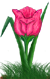<img:stuff/TulipPinkSpkSM.png>