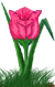 <img:stuff/TulipPinkSpkSMRev.png>
