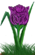 <img:stuff/TulipPurpSpkSM.png>