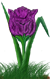 <img:stuff/TulipPurpSpkSMRev.png>