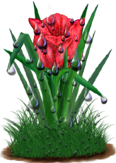 <img:stuff/TulipRedSpkDrops.png>