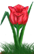 <img:stuff/TulipRedSpkSM.png>