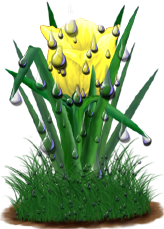 <img:stuff/TulipSunburstYelDrops.png>