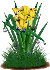 <img:stuff/TulipYelSpkDrops.png>