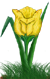 <img:stuff/TulipYelSpkSM.png>