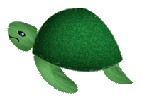 <img:stuff/Turtle_Steve.gif>