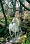 <img0*150:stuff/Unicorn_On_Alert.jpg>