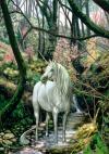 <img100*0:stuff/Unicorn_On_Alert.jpg>