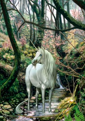 <img300*0:stuff/Unicorn_On_Alert.jpg>