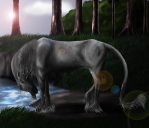 <img300*0:stuff/Unicorn_edited-8.jpg>