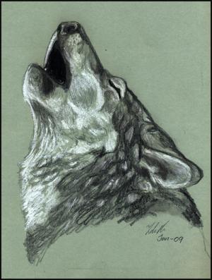 <img300*0:stuff/Varghuvud.jpg>