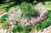 <img100*0:stuff/Variety_Garden.jpg>
