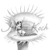 <img0*100:stuff/Venusflytrap.jpg>