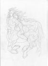 <img100*0:stuff/Vhandros%20and%20Linnerial.jpg>