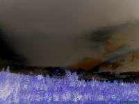 <img200*0:stuff/Violet%20Dark%20Rainbows.JPG>