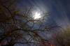 Vollmond