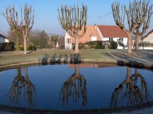 <img300*0:http://elftown.heddate.com/stuff/Water_mirror.jpg>