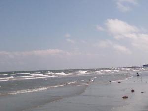 <img300*0:stuff/Waters_of_New_Mexico.jpg>