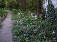 <img0*150:stuff/Weigela%206.jpg>