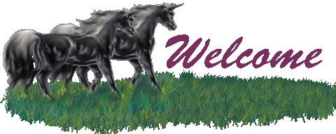 <img:stuff/Welcome%20unicorns%20gif.gif>