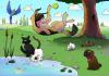Wet_Cats_in_3..2..1..