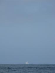 <img0*250:stuff/Where_Sky_meets_Ocean.jpg>