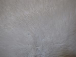 <img300*0:stuff/White_Faux_Fur.jpg>
