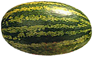<img:stuff/WholeWatermelon.png>