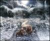 Wild Waters