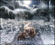 Wild Waters Wild Waters