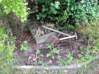 <img200*0:stuff/Wild_Garden_III.jpg>
