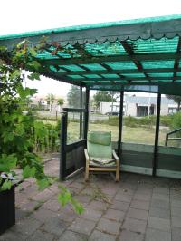 <img200*0:stuff/Wild_Garden_V.jpg>